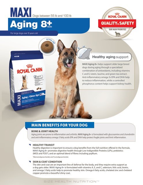 MAXI_aging 8+.pdf - Royal Canin