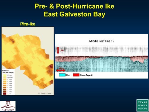 The Impact of Hurricane Ike on Oyster Reefs in Galveston Bay and ...