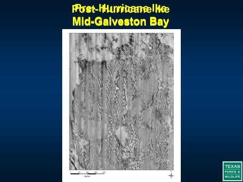 The Impact of Hurricane Ike on Oyster Reefs in Galveston Bay and ...