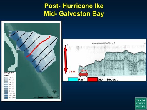 The Impact of Hurricane Ike on Oyster Reefs in Galveston Bay and ...