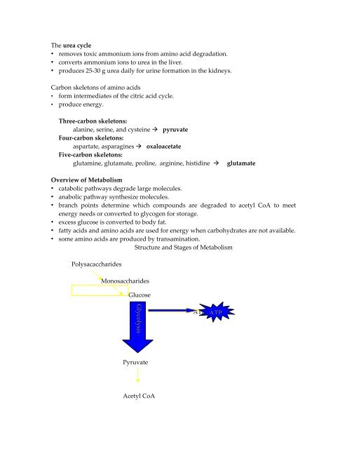 Nucleic acids