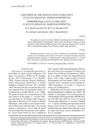revision of the genus calycularia mitt. (calyculariaceae - Arctoa