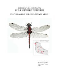 Dragonflies of the Northwest Territories - Environment and Natural ...