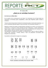 Â¿QuÃ© es un cariotipo humano?