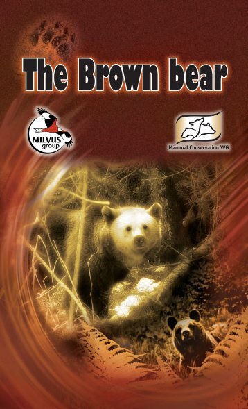The Brown bear - Milvus Group