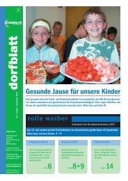 Dorfblatt 3/07 (28,84 MB) - Krumbach