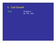 Cell Growth - Measurement and Parameters - CMBE