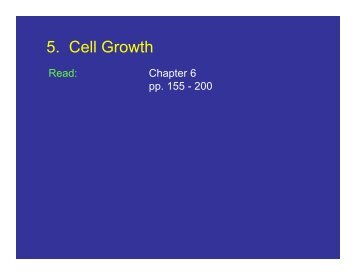 Cell Growth - Measurement and Parameters - CMBE