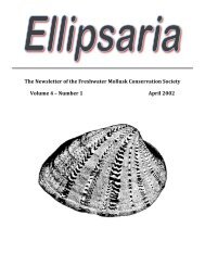 スワン ミネラルの2本セット スワンミネラル⭐︎2本セット 【公式通販】