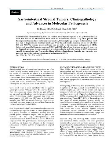 Gastrointestinal Stromal Tumors - NAJMS: The North American ...