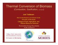 Thermal Conversion of Biomass - AURI