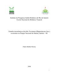 modelo capa resumo - Jardim BotÃ¢nico do Rio de Janeiro