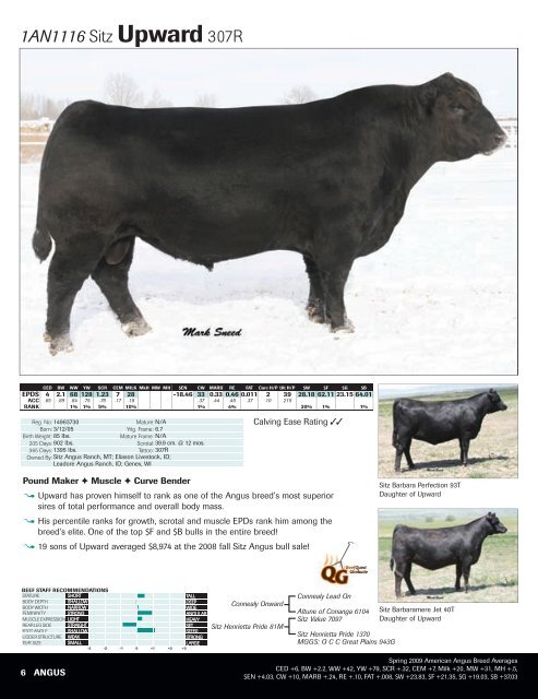 Beef Genetic Management Guide - Angus Journal