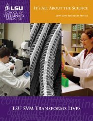 2009-2010 Research Report - School of Veterinary Medicine ...