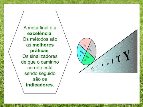 Indicadores para GestÃ£o e Qualidade em Auditoria - Unimed do Brasil