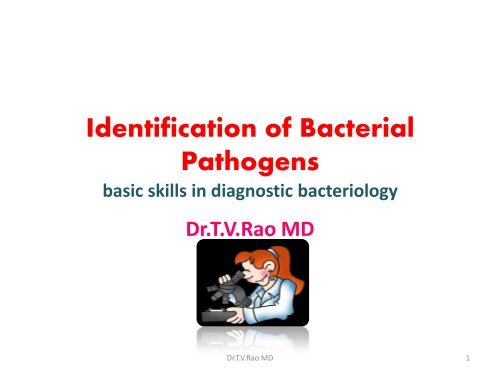 Identification of Bacterial Pathogens basic skills in bacteriology