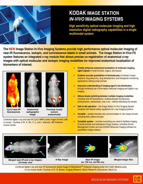 KODAK IMAGE STATION IN-VIVO IMAGING SYSTEMS - Raytest