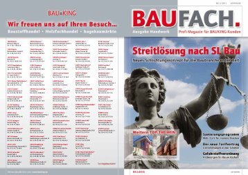 Download BAUFACH (PDF) - Bauking AG