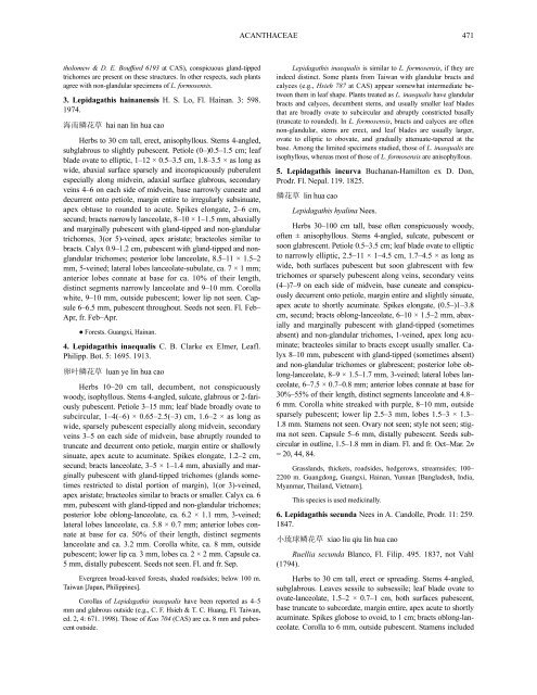 Acanthaceae (PDF)