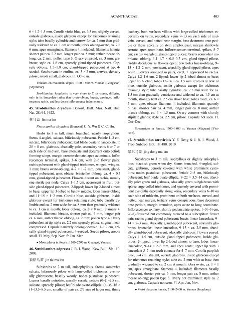 Acanthaceae (PDF)