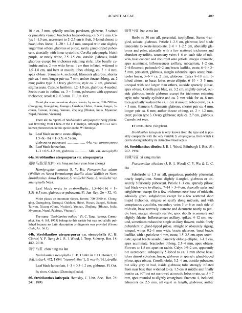 Acanthaceae (PDF)