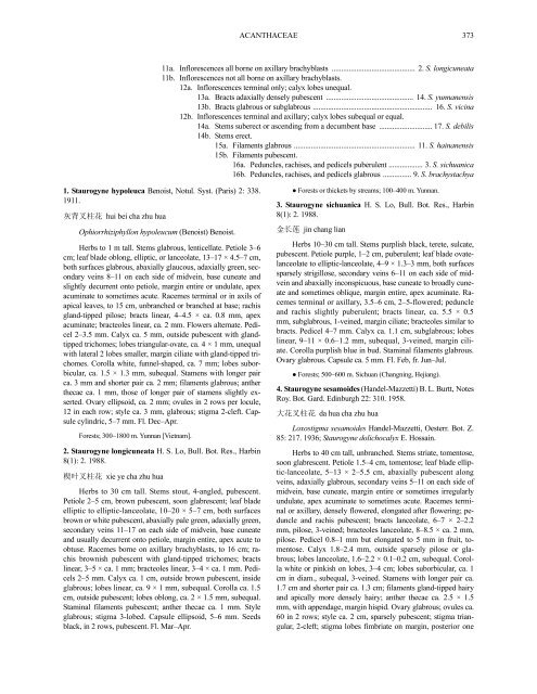 Acanthaceae (PDF)