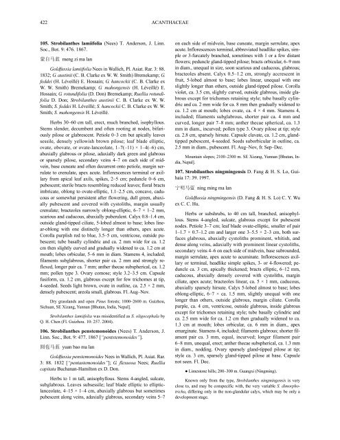 Acanthaceae (PDF)