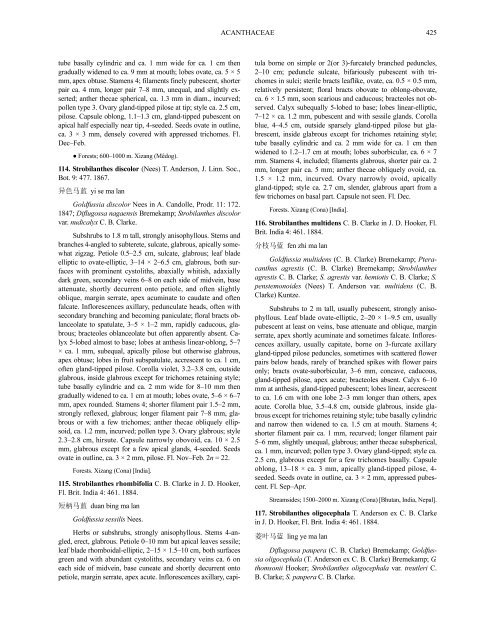 Acanthaceae (PDF)