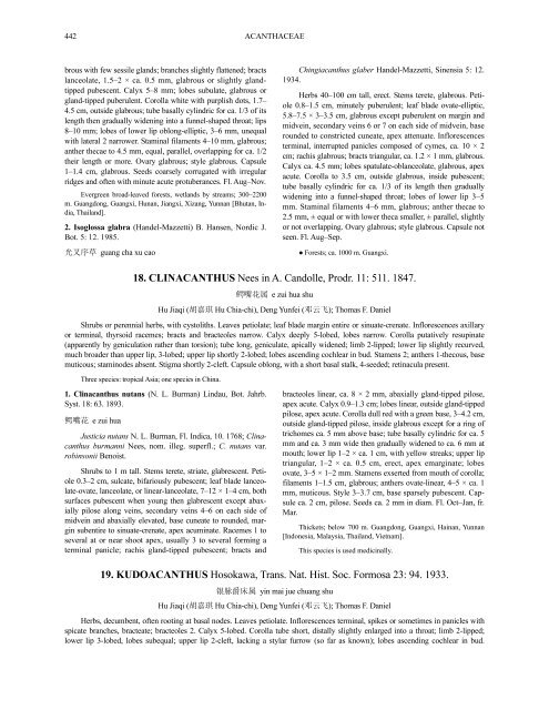 Acanthaceae (PDF)