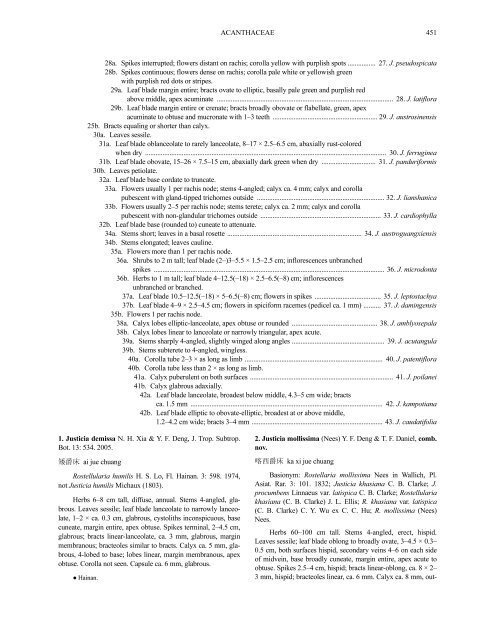 Acanthaceae (PDF)