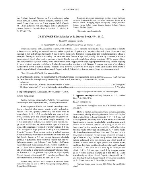 Acanthaceae (PDF)