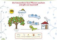 Folie 13: Die Fotosynthese lÃƒÂ¤sst Pflanzen wachsen und ... - Format-X