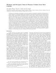 Phylogeny and Divergence Times in Pinaceae: Evidence from Three ...