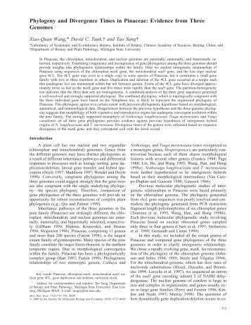 Phylogeny and Divergence Times in Pinaceae: Evidence from Three ...