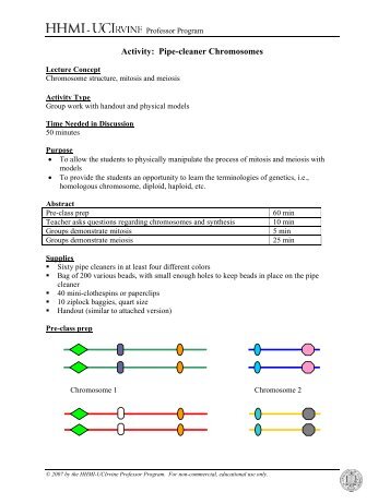 Pipe-cleaner Chromosomes - Diane O'Dowd, HHMI Professor