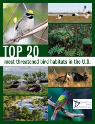 Top 20 Most Threatened Bird Habitats in the U.S. - American Bird ...