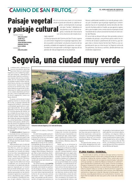 La Flora en el Camino de San Frutos - Segovia