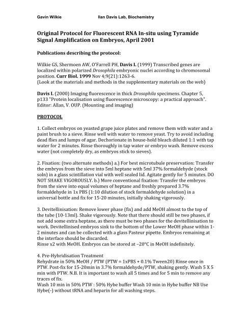 Original Protocol for Fluorescent RNA In-situ using Tyramide Signal ...