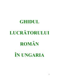 Ghid roman in ungaria