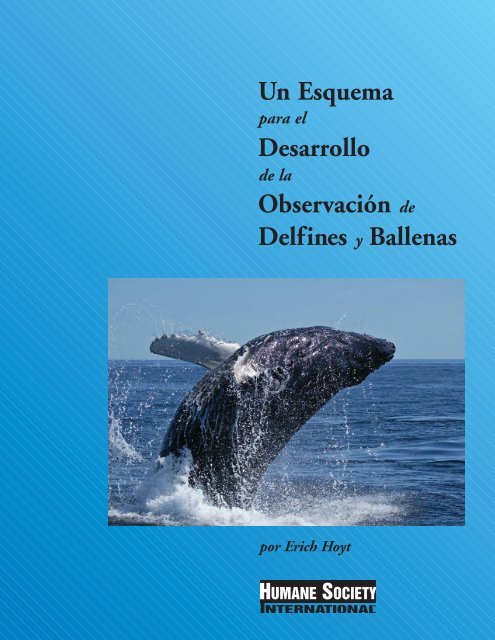 Un Esquema Desarrollo ObservaciÃ³n de Delfines y Ballenas