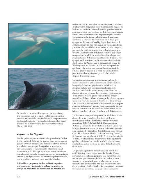 Un Esquema Desarrollo ObservaciÃ³n de Delfines y Ballenas