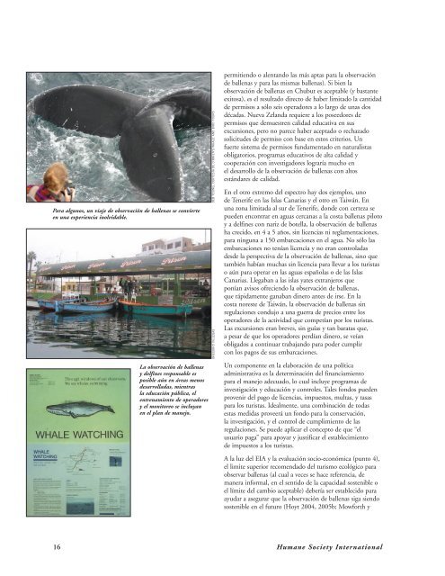 Un Esquema Desarrollo ObservaciÃ³n de Delfines y Ballenas