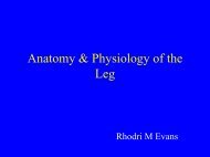 Anatomy Physiology DVT