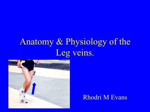 Anatomy Physiology DVT