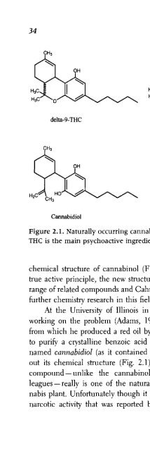 Science Cannabis