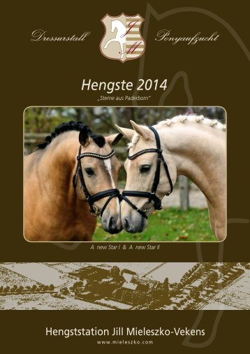 Download - Hengst Pony Dressur Jill Mieleszko