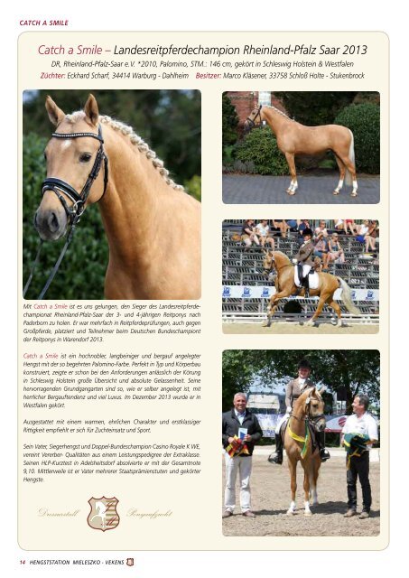 Download - Hengst Pony Dressur Jill Mieleszko