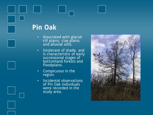 Wetland Characteristics - Niagara Peninsula Conservation Authority