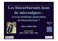 Les biocarburants issus de microalgues : vers la ... - Institut Coriolis