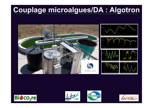 Les biocarburants issus de microalgues : vers la ... - Institut Coriolis